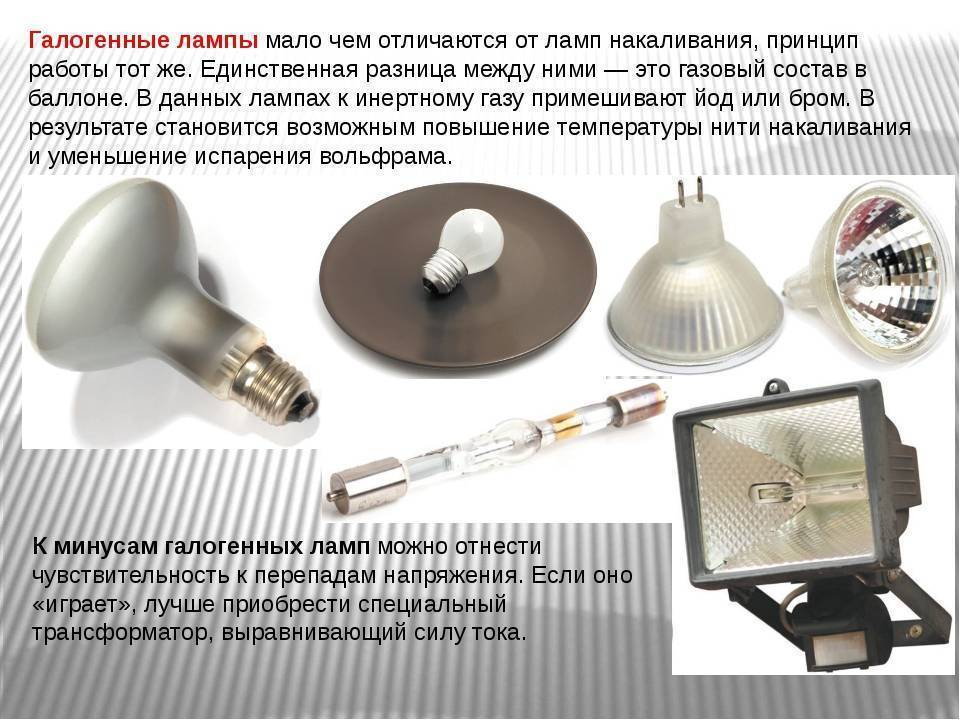 Инфракрасная лампа для обогрева помещения: принцип работы и применение для обогрева животных и теплиц