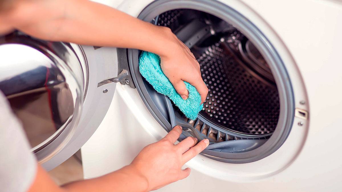 Как избавиться от плесени в стиральной машине: список средств