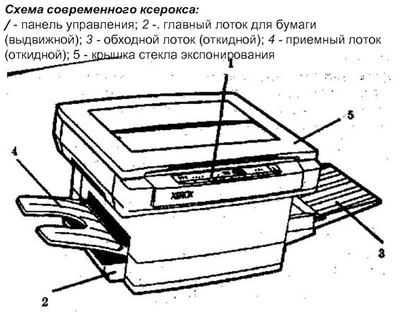 Как сделать ксерокопию на принтере canon, hp, epson и других