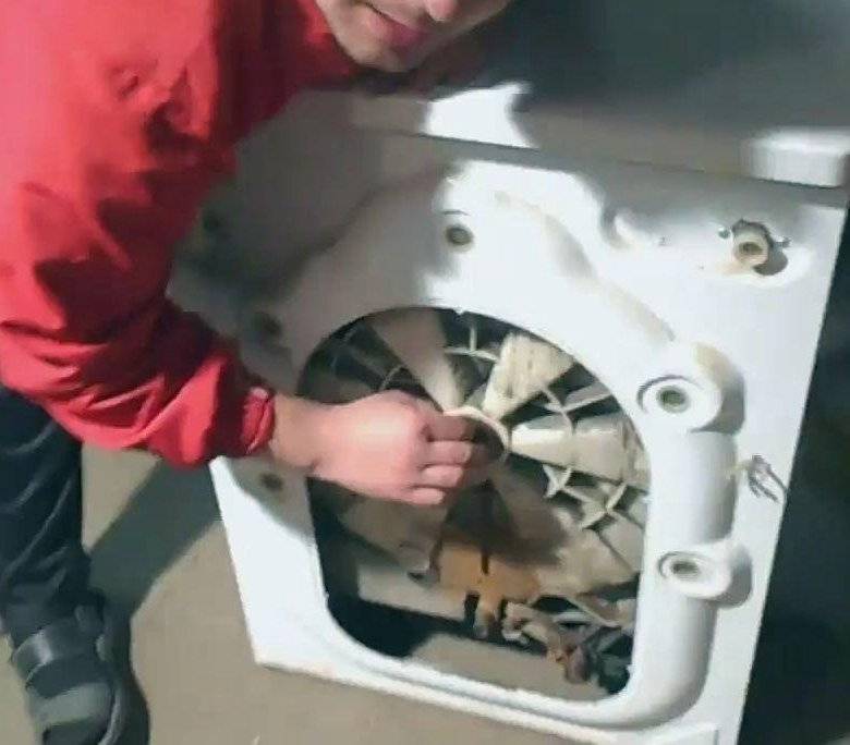 Как заменить подшипники в барабане стиральной машины своими руками