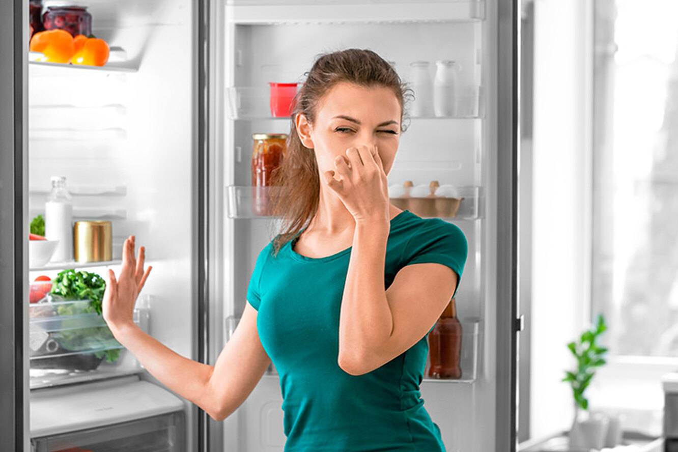Как убрать запах из холодильника и морозилки: быстрые народные средства для чистки и профилактики проблемы