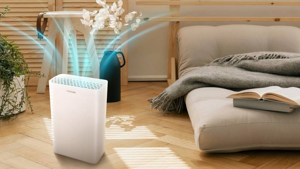 Лучшие ионизаторы воздуха 2023 года???? рейтинг самых качественных ионизаторов для квартиры и дома