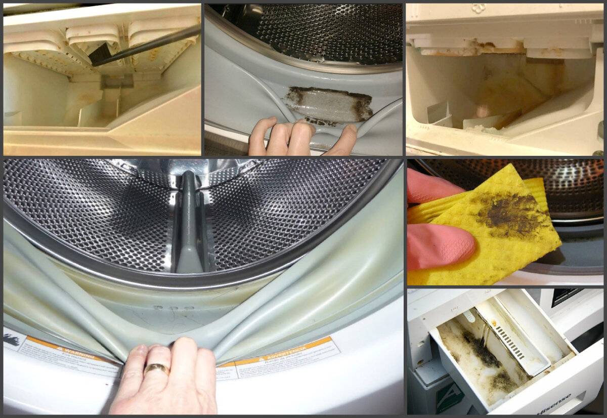 Как избавиться от запаха в стиральной машине: из барабана, шланга, фильтра