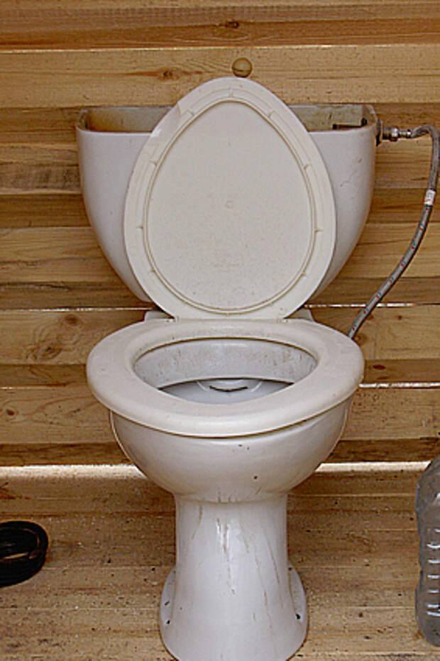 Как выбрать напольный унитаз для дачного туалета: этапы монтажа