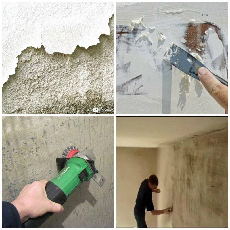 Как мыть потолок покрашенный водоэмульсионной краской