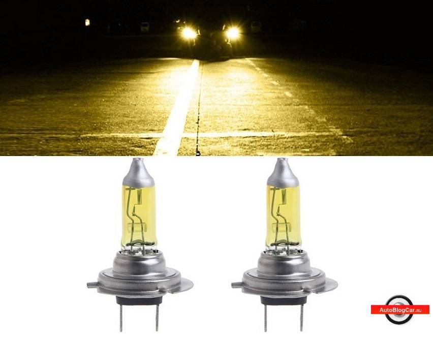 Галогенные лампы на 12 вольт: принцип работы и ведущие поставщики ламп 12 в - точка j