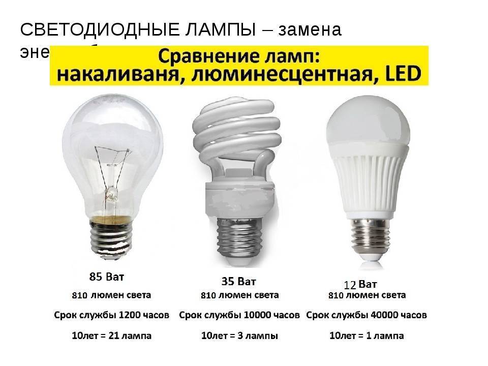 Как выбрать энергосберегающую лампочку - topexp