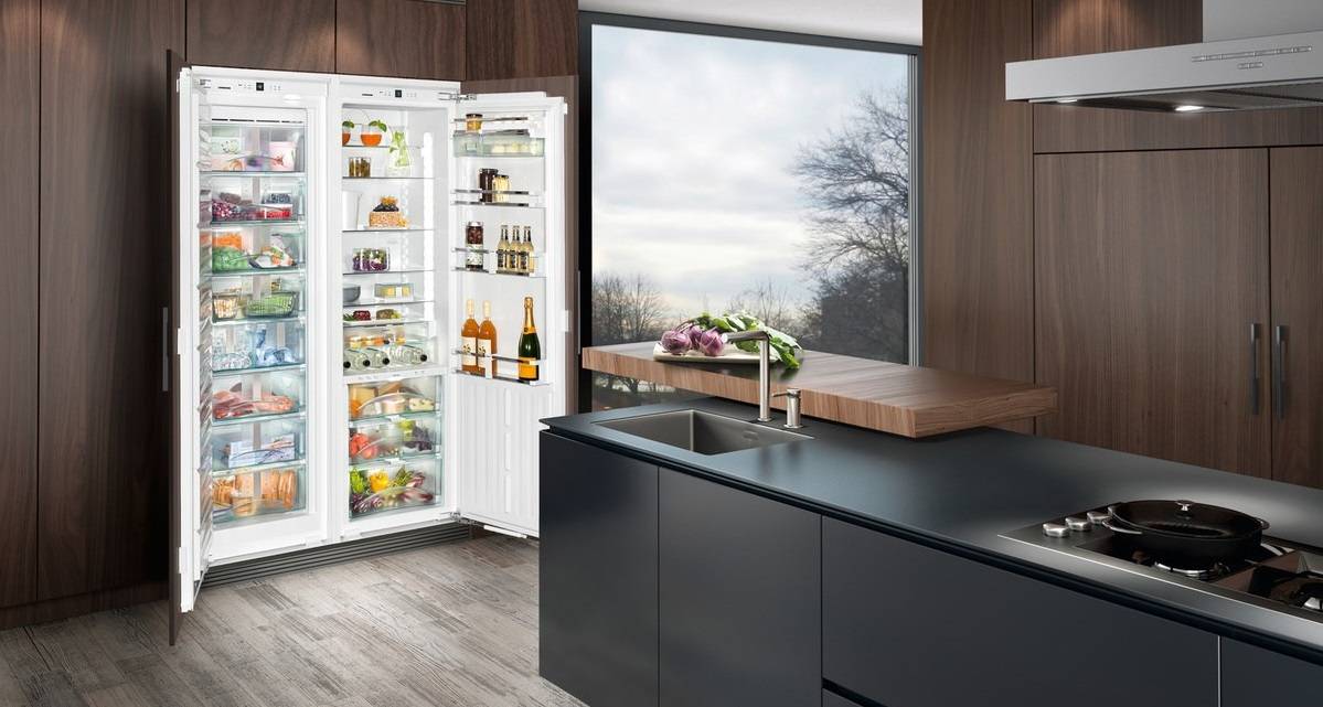 Рейтинг 15 лучших встраиваемых холодильников