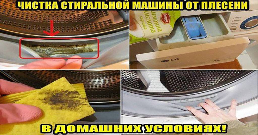 Плесень в стиральной машине – что делать
