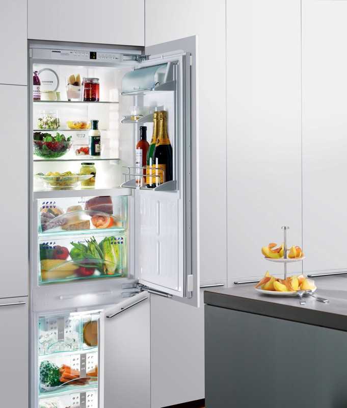 20 лучших встраиваемых холодильников в рейтинге 2021 года