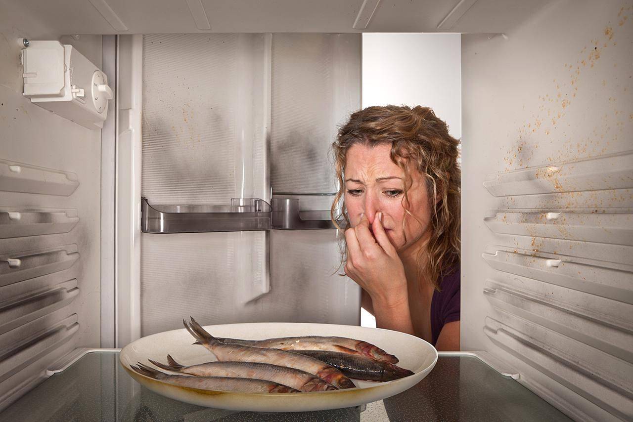Как избавиться от запаха в морозильной камере холодильника: убрать в морозильнике, причины, устранить от протухшего мяса, удалить