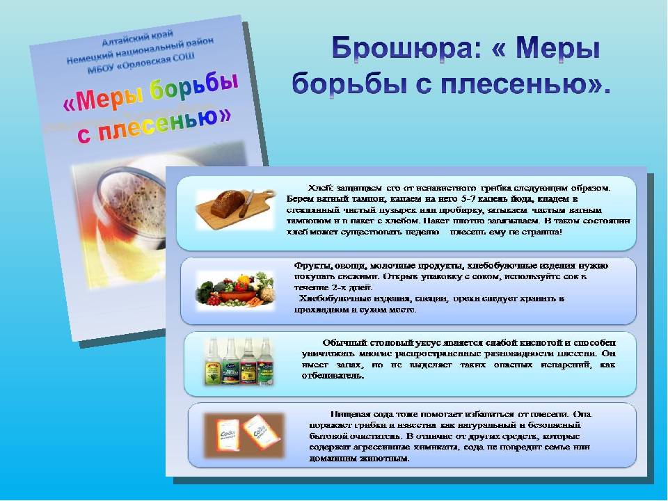 Плесень – dez service