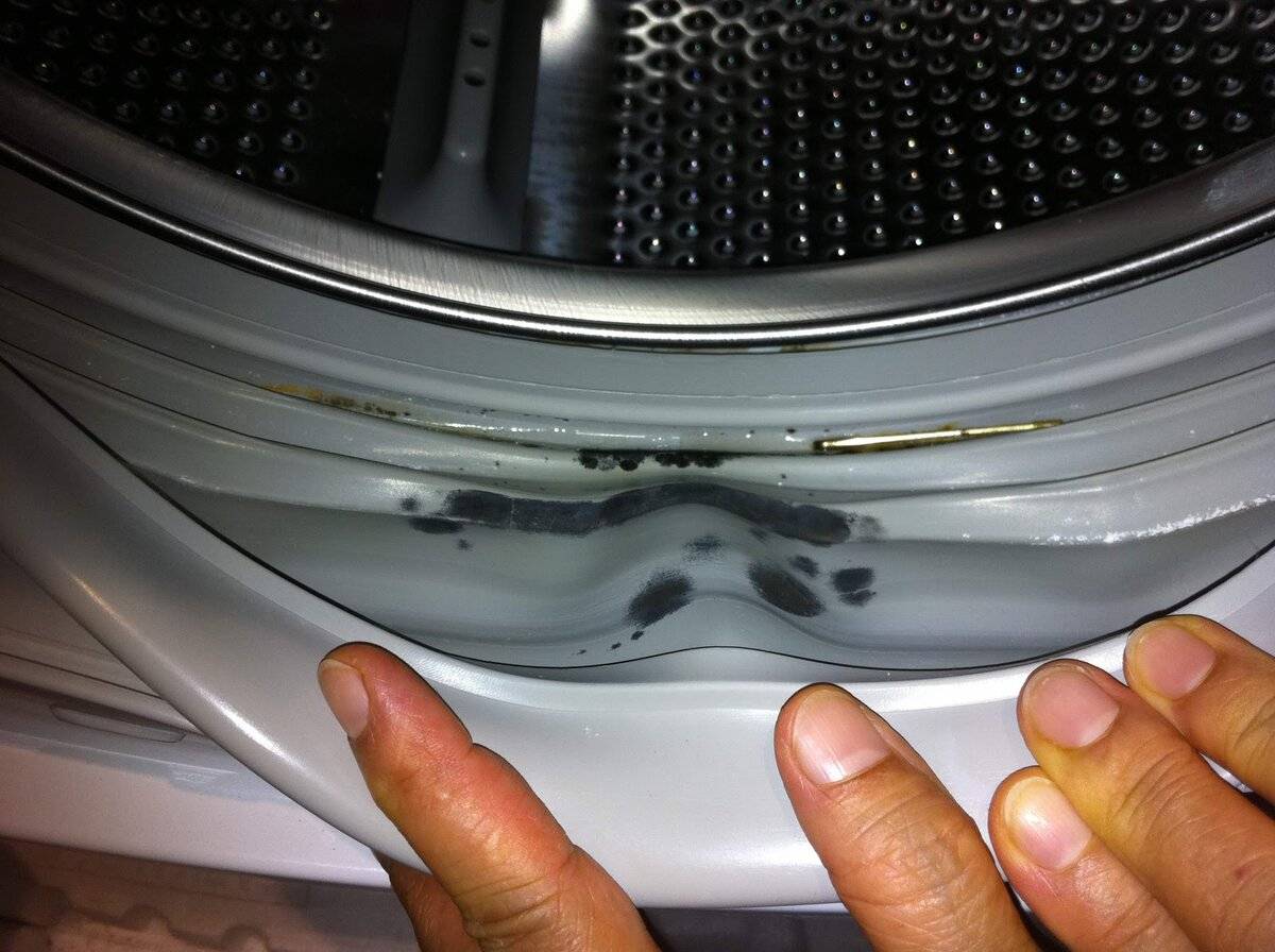 Плесень в стиральной машине: как избавиться, как почистить, как удалить грибок