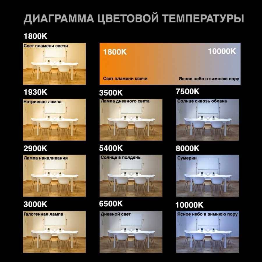 Что лучше: теплый или холодный свет - 1posvetu.ru