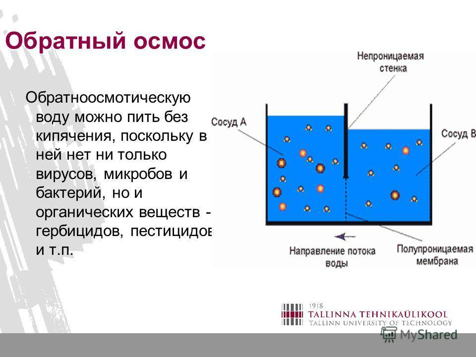 Осмос картинка биология