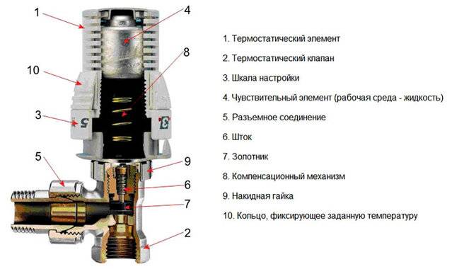 Термоголовка для радиатора отопления: выбор и монтаж