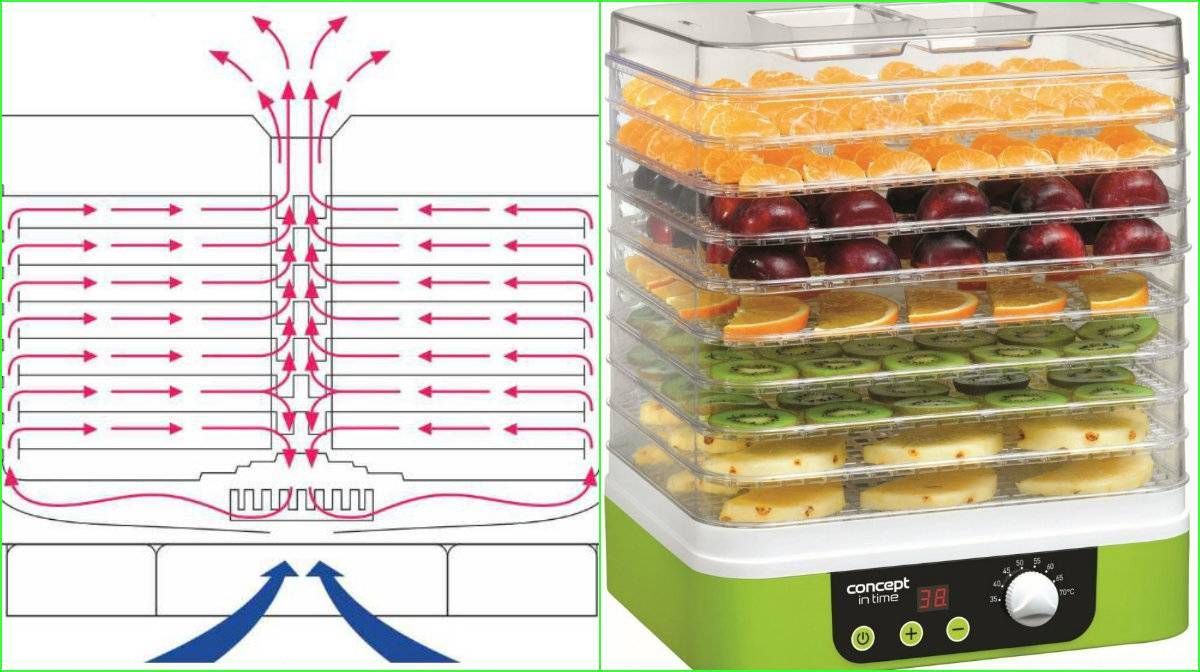 10 лучших в 2021 году электросушилок для овощей и фруктов