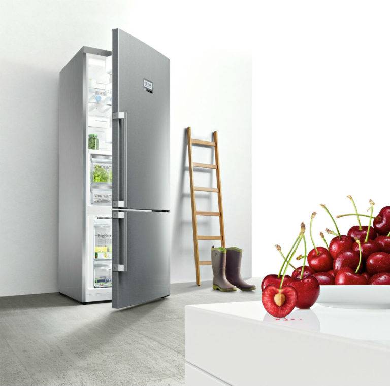 Самые лучшие двухкамерные холодильники по цене и качеству