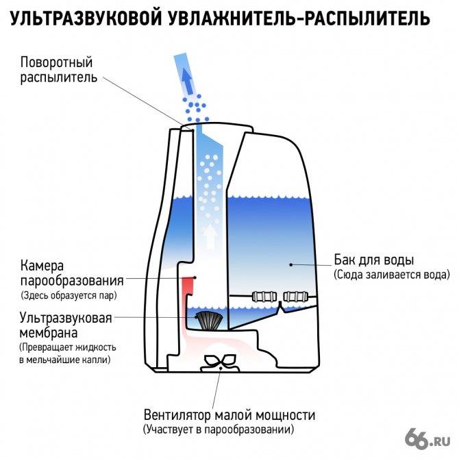 Какой увлажнитель воздуха лучше для ребенка: отзывы :: syl.ru