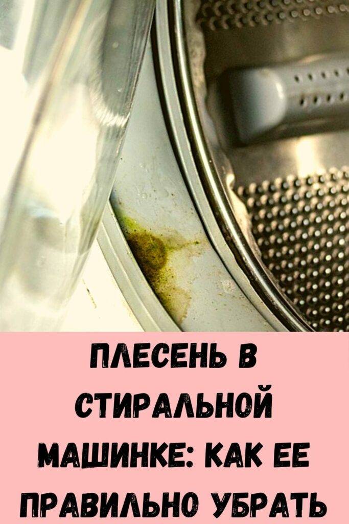 Чистка стиральной машины от плесени: очень простой и быстрый способ