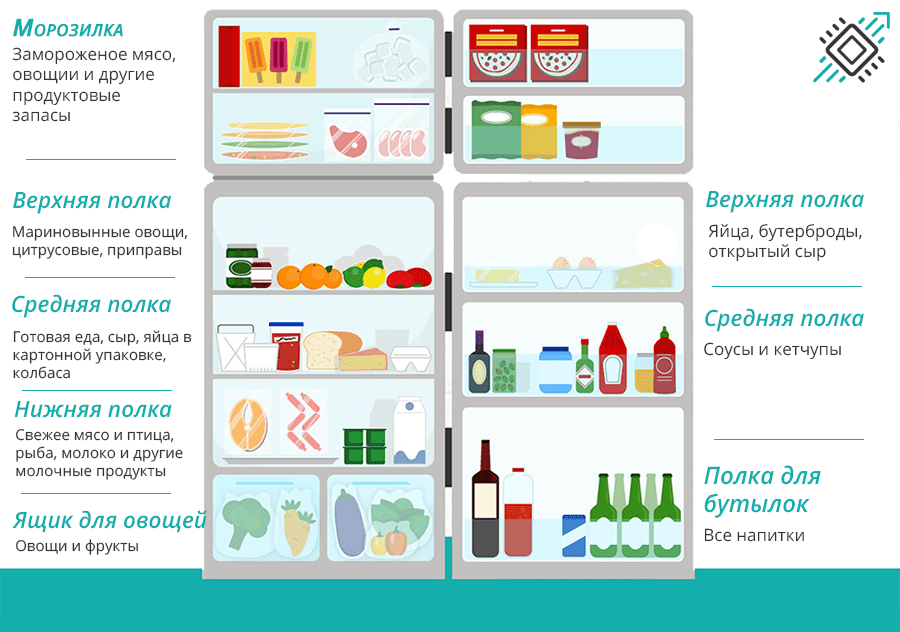 Как правильно хранить продукты, чтобы сохранить здоровье и сэкономить :: инфониак