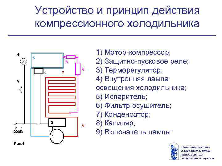 Принцип работы двухкамерного холодильника: описание, характеристики