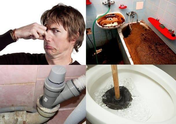 Запах из канализации в квартире: виды технических неисправностей и способы их устранения