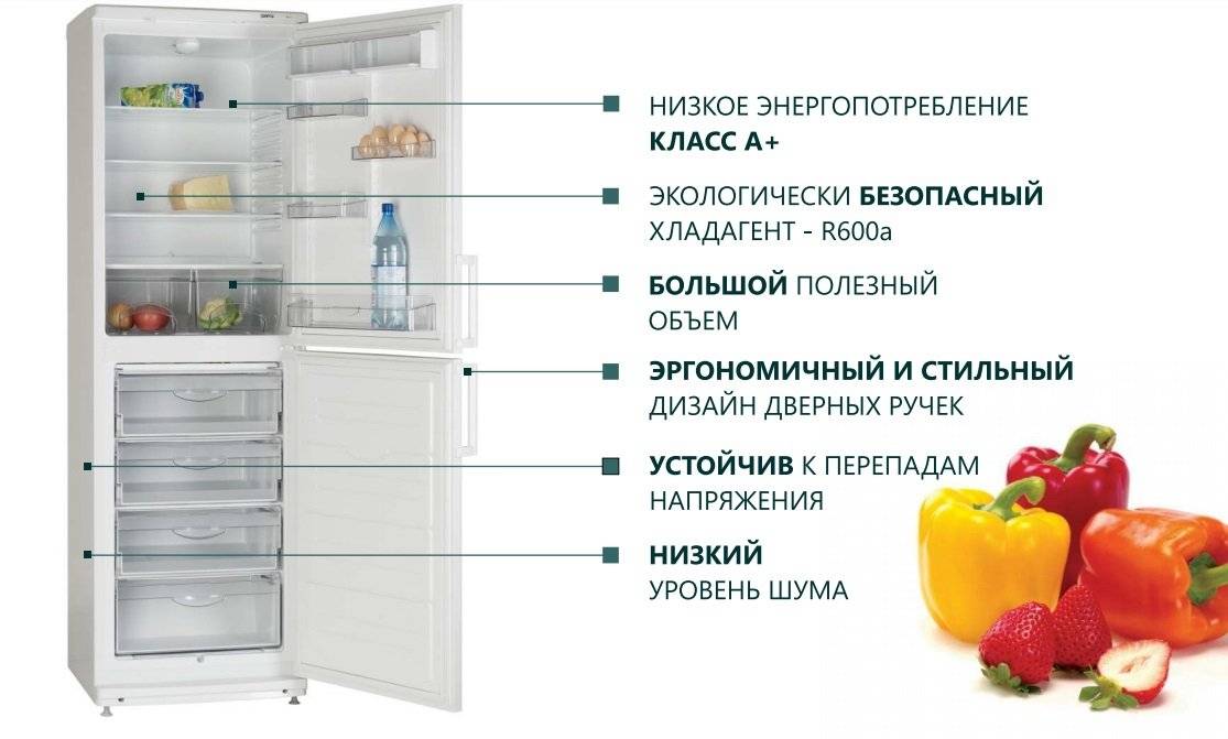 Холодильники atlant - независимый рейтинг лучших по итогу 2020 года