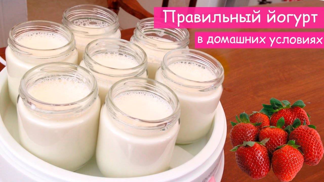 Как сделать йогурт в домашних условиях: рецепты приготовления