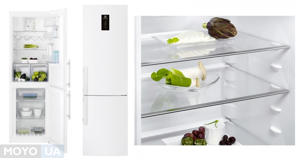 Холодильники electrolux: обзор лучших моделей