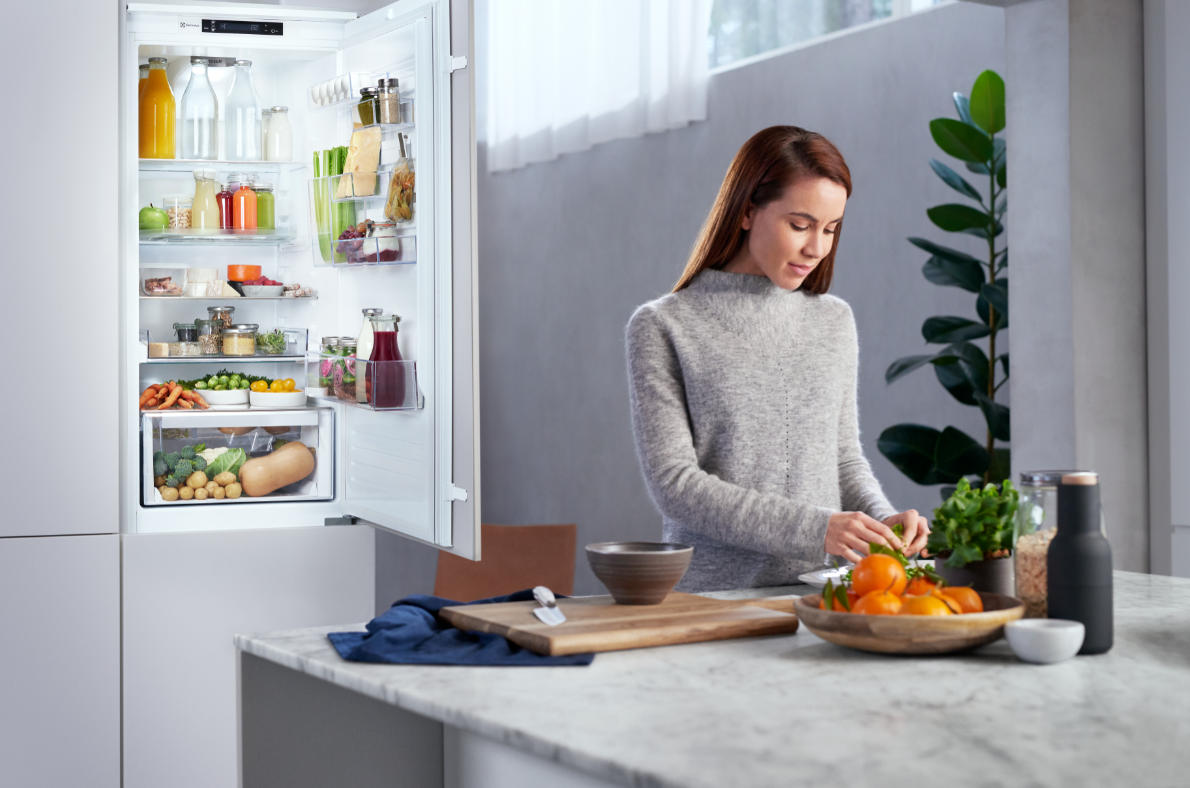 Холодильники electrolux: топ - 8 лучших моделей