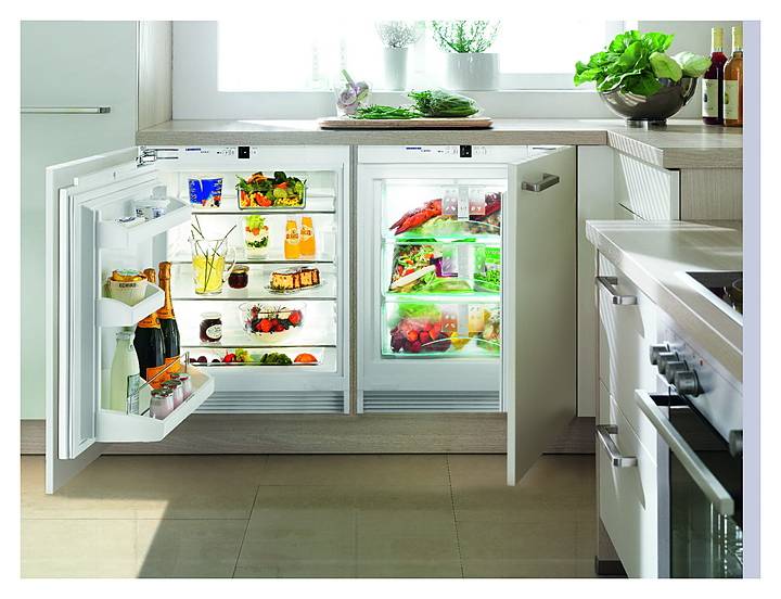 ✅ холодильник без морозильной камеры: топ-7 лучших моделей плюсы и минусы такого решения - dnp-zem.ru