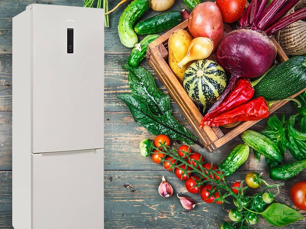 Топ-13 холодильников с поддержкой no frost - рейтинг лучших в 2022