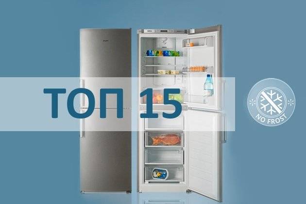 Двухкамерный холодильник: лучшие модели с системой no frost, отзывы