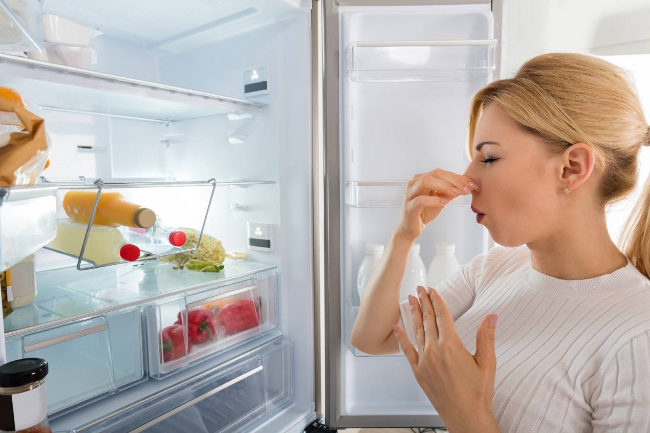 Как убрать неприятный запах в холодильнике, чем отмыть, чтобы уничтожить запах в домашних условиях