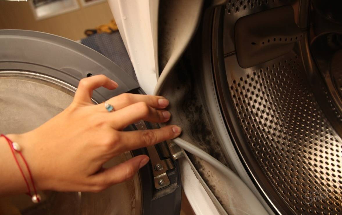 Плесень в стиральной машине: как избавиться от грибка подручными средствами и готовыми препаратами