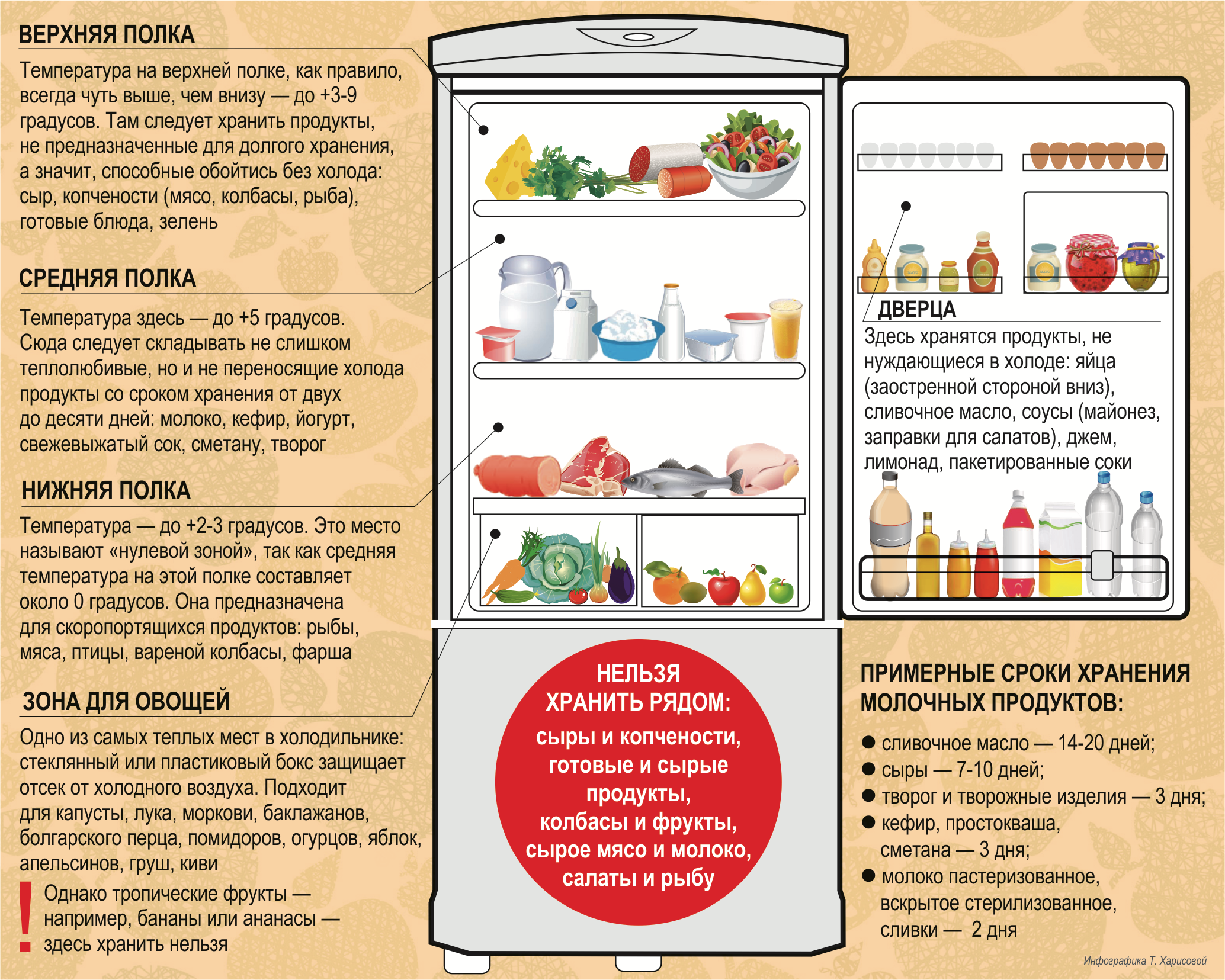 Правила и сроки хранение продуктов в холодильнике