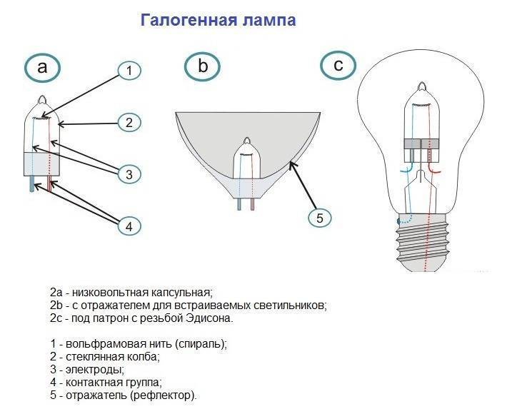 Галогенные лампы на 12 Вольт: обзор, характеристики + обзор лидирующих производителей