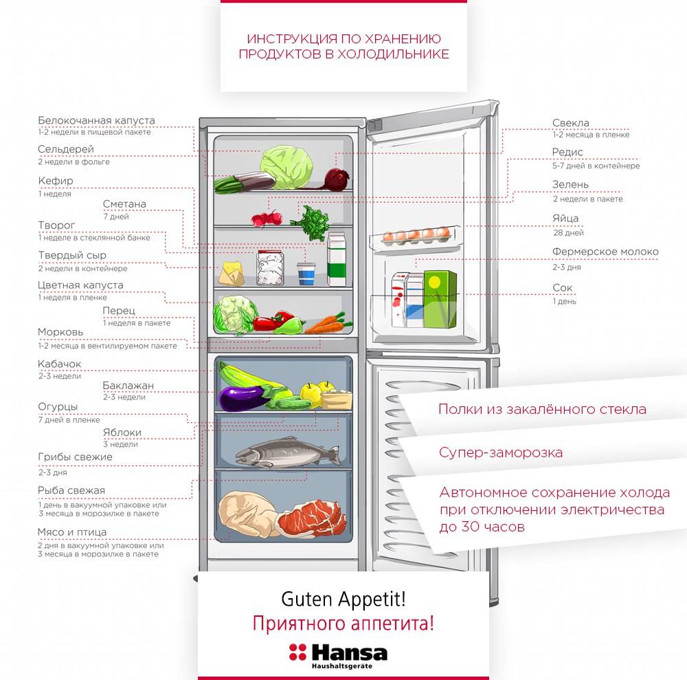 Как долго хранятся продукты в холодильнике и без? сроки хранения - женский сайт сжс