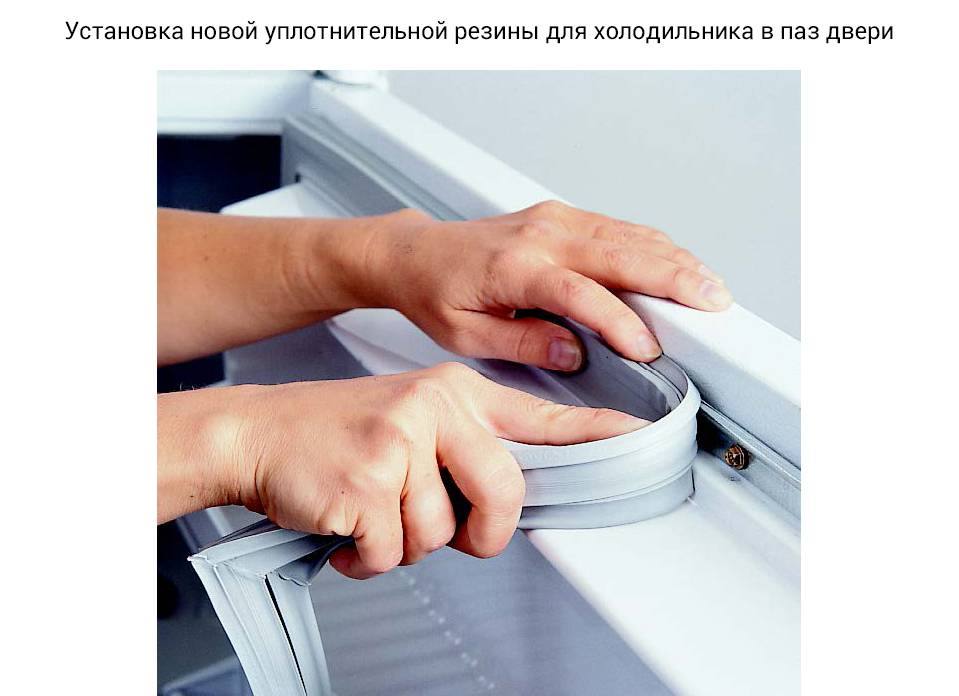 Ремонт уплотнителя холодильника
