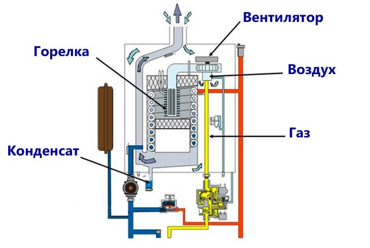 Двухконтурный газовый котел: разновидности, выбор, преимущества и их недостатки, устройство и принцип работы