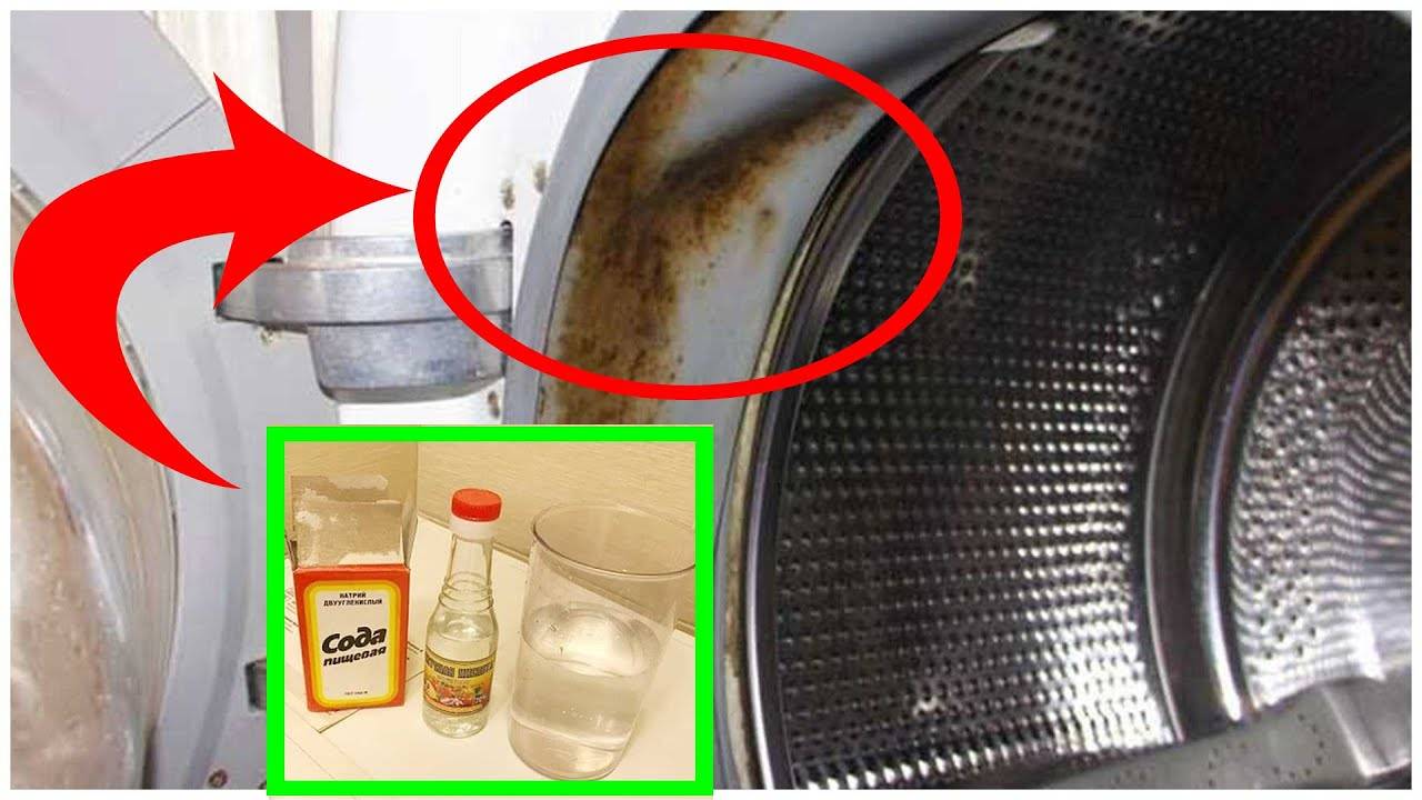 Запах из стиральной машинки-автомат: причины появления, как избавиться народными средствами