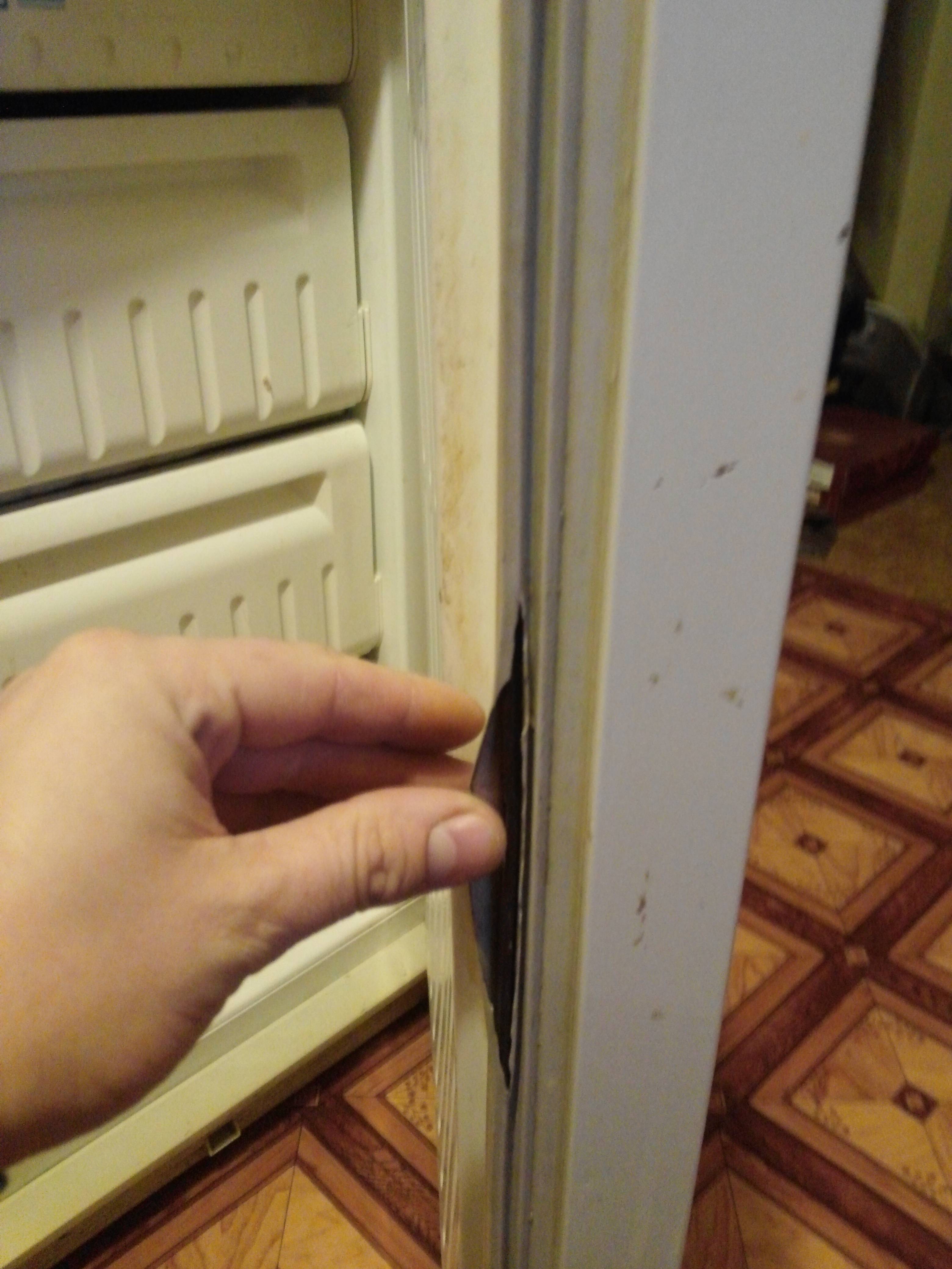 Ремонт и замена уплотнителя двери холодильника – пошаговая инструкция
